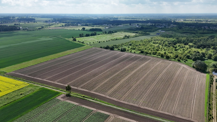 Działka Sprzedaż Goleniów 3